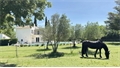 Image du bien UBI476072300
